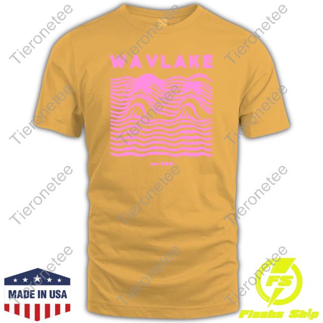 Wavlake Waves Hoodie