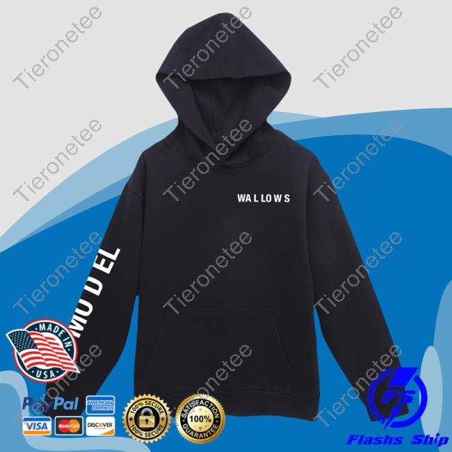 Official Wallows Merch Shop 'Model' Album LS Hoodie