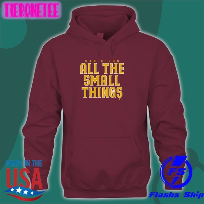 Breakingt Merch San Diego All The Small Things Tee Shirt