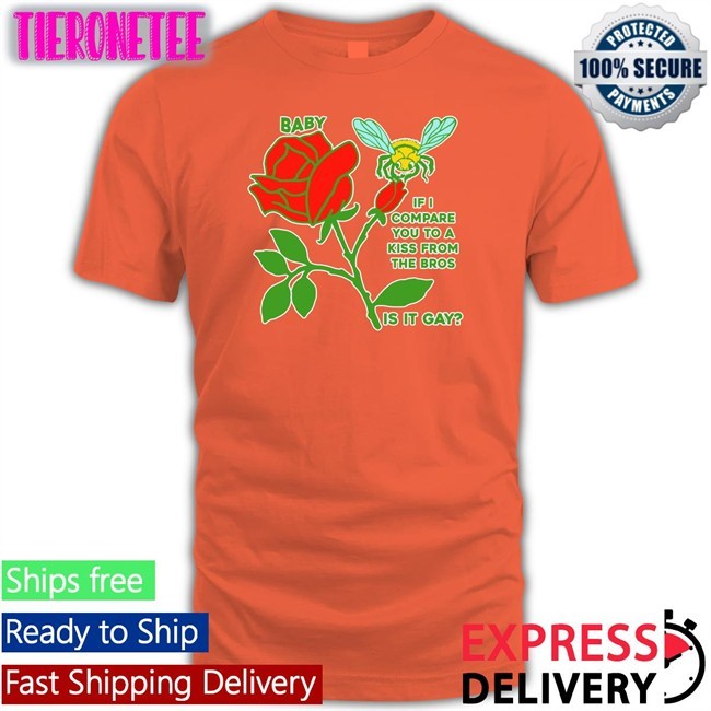Goodshirts Merch Shirts That Go Hard Baby If I Compare You To A Kiss From The Bros Is It Gay Shirt