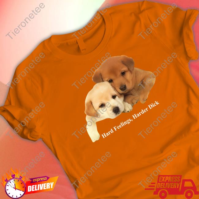 Aubrey Drake Graham Hard Feelings Harder Dick Shirts