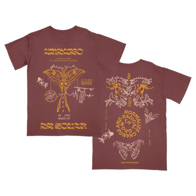 Official Hello Merch Store Indigo De Souza Metamorphosis Brick Tee Hellomerch